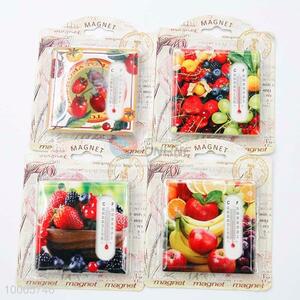 Wholesale Fruit Fridge Magnet With Thermometer