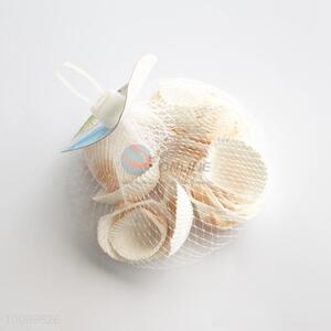 Large white shells/shell crafts