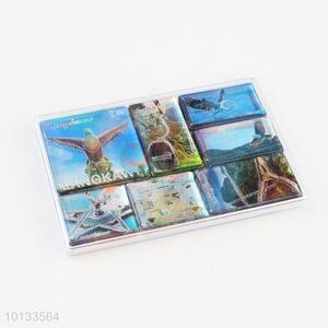 7 Pieces Fridge Magnet Set