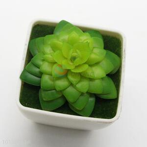 High Quality Permanent Green Plant Artificial Succulent Plants