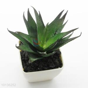 Wholesale Artificial Succulent Plants Mini Bonsai