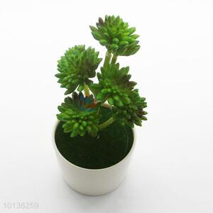 High Quality Ornamental Plants Small white Porcelain Plastic Succulent Plant