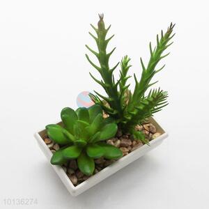 Plastic Artificial succulents Plants Plastic Plants