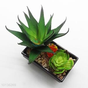 High Quality Artificial Green Potted Succulent Plants