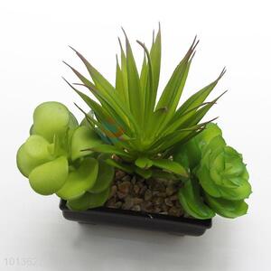 Artificial Succulent Plants with Pots Home High Quality Decoration