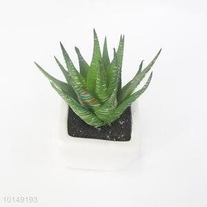 Delicate artificial plant pot succulent pot