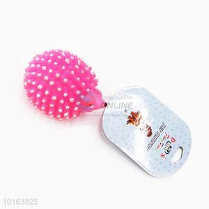 Professional Vinyl Hedgehog Pet Toy