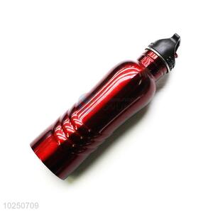 Portable Stainless Steel Sports Water Bottle With Carabiner