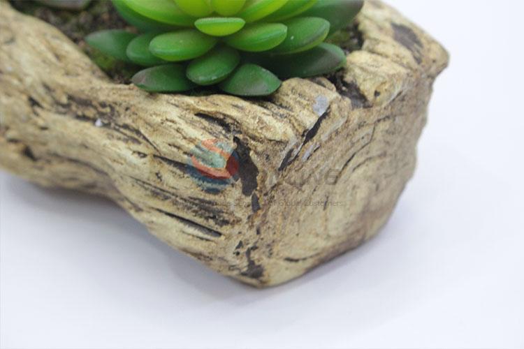 Lovely Plastic Succulent Plant Ornamental Plants