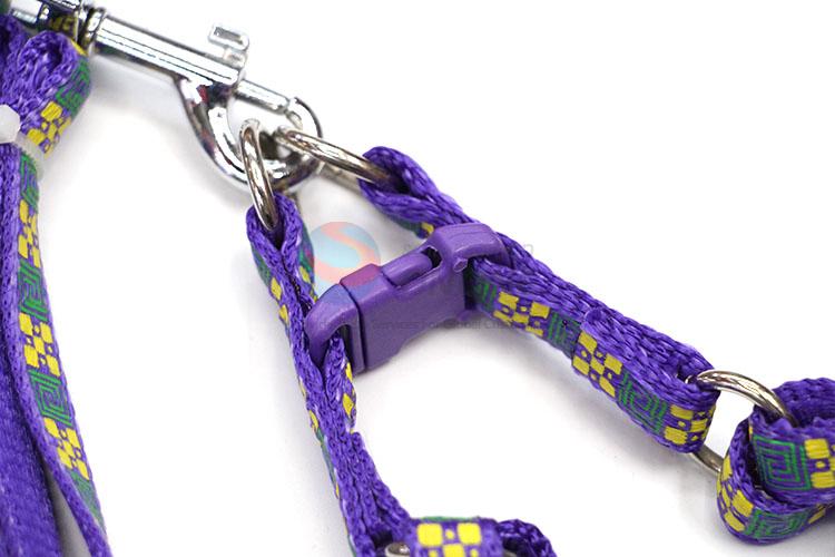 Competitive Price Pet Leash for Sale