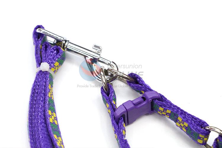 Competitive Price Pet Leash for Sale