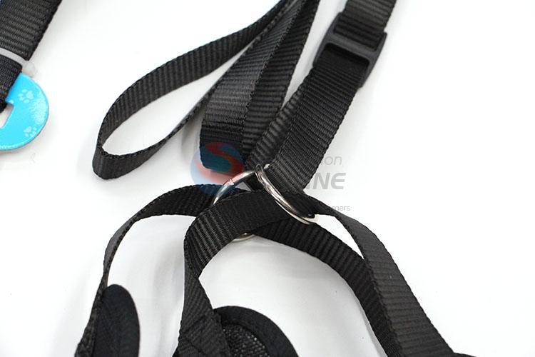 Factory Wholesale Pet Leash for Sale