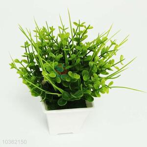 Good quality plastic home decoration green plant