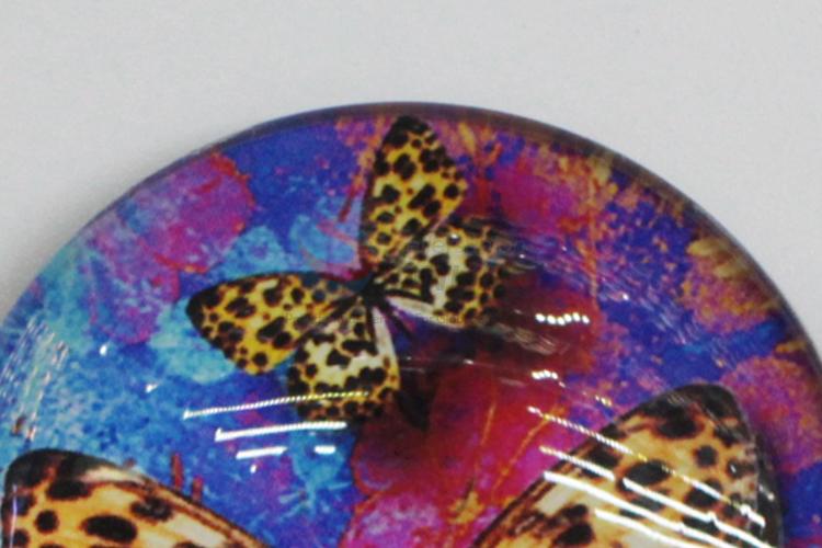 Butterfly Printing Fridge Magnet For Sale