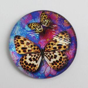 Butterfly Printing Fridge Magnet For Sale