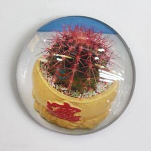 Best Quality Good Sale Glass Fridge Magnet  