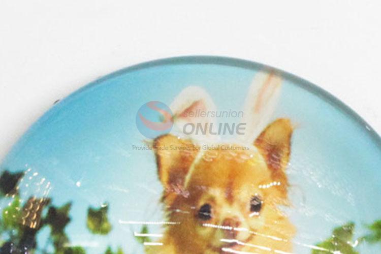 Oem Custom Glass Fridge Magnet With Good Quality