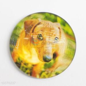 Round Fridge Magnet From China Suppliers