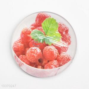 Latest Style Fruit Printing Fridge Magnet