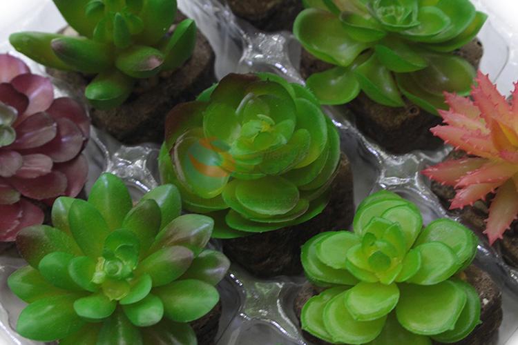 Low price new arrival artificial succulent plant