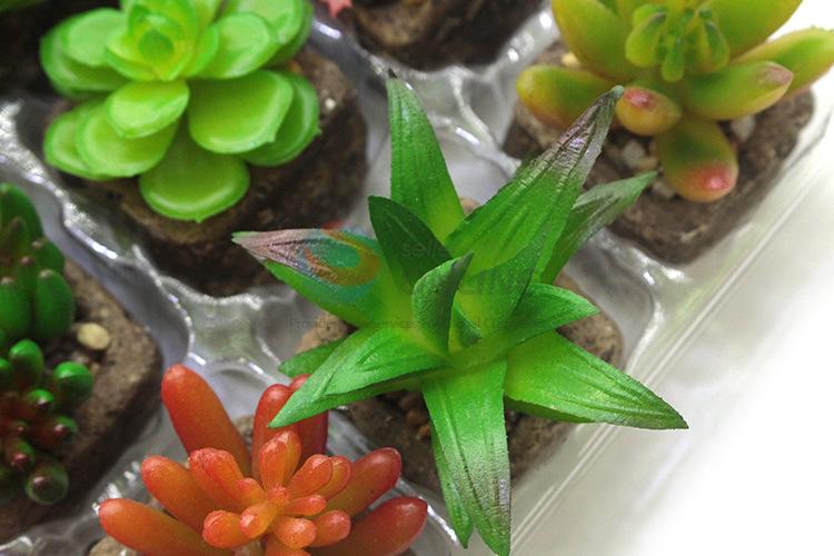 Low price new arrival artificial succulent plant