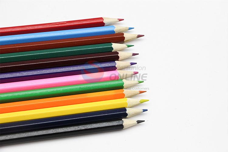 Hottest Professional 12pcs Drawing Set Colored Pencils Water Color Pencils