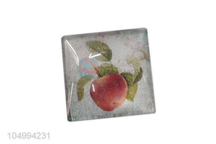 China OEM square fruit pattern epoxy fridge magnet