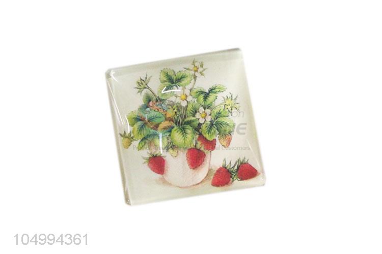 Super quality square fruit pattern epoxy fridge magnet