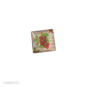 Most popular square fruit pattern epoxy fridge magnet