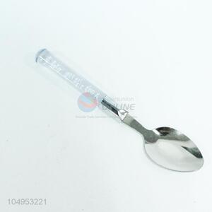Stainless Steel Spoon With Plastic Hand