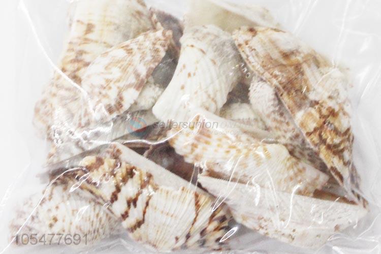 New Arrival Natural Ocean Shell Fashion Decoration