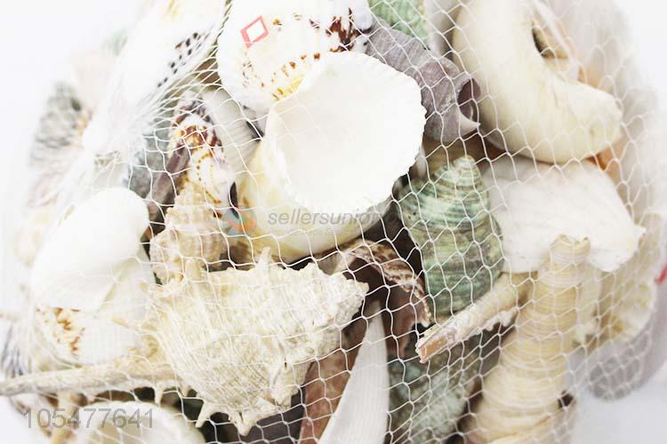 Hot Selling Natural Shell Best Decorative Craft