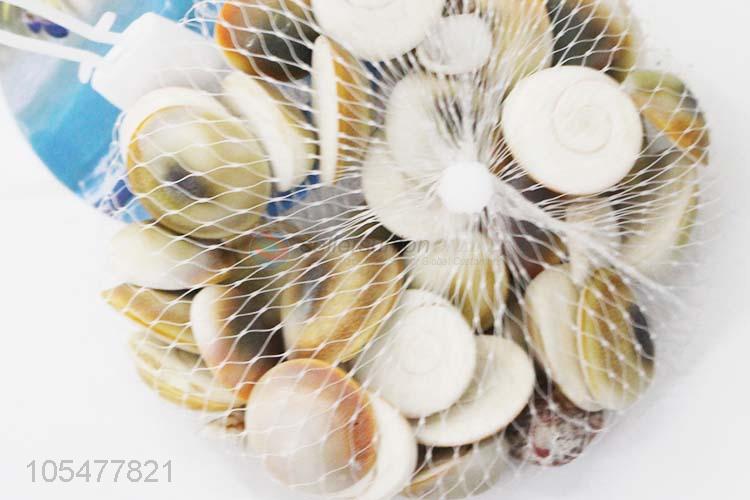 Hot Selling Natural Shell Best Shell Craft Set