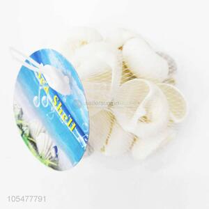 Lovely White Sea Shell Best Shell/Conch Crafts