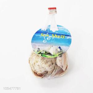 Popular Sea Shell Best Decorative Shell Craft