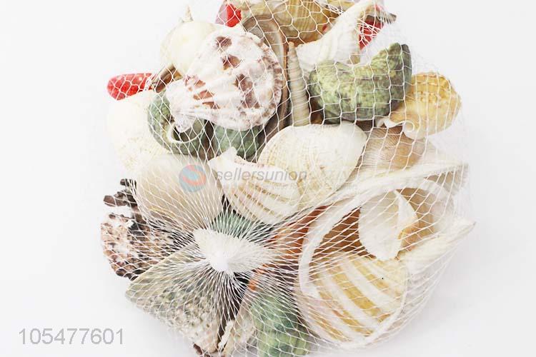 High Quality Shell/Conch Crafts Decorative Shell