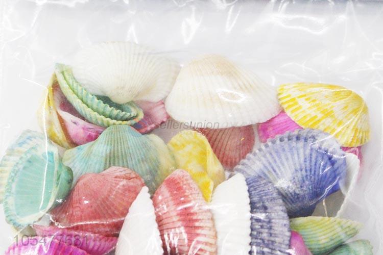 New Design Colorful Ocean Shell Best Craft Set