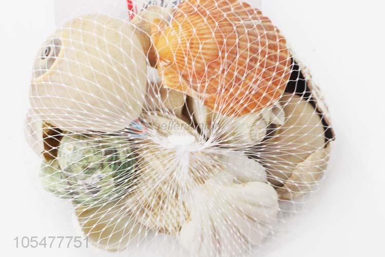 Good Quality Natural Sea Shell Fashion Decorative Craft