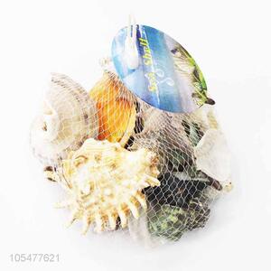 Fashion Decoration Best Shell/Conch Crafts Set