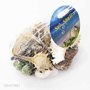 Top Quality Sea Shell Fashion Shell/Conch Crafts