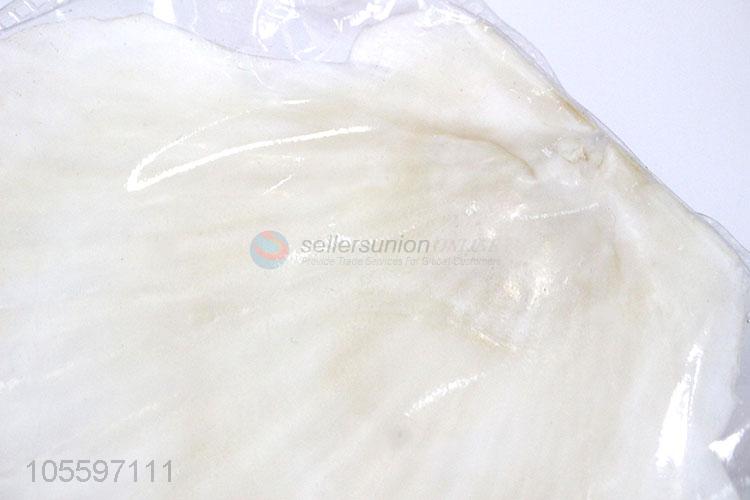 Hot Sale Natural Shell Best Decorative Shell Craft