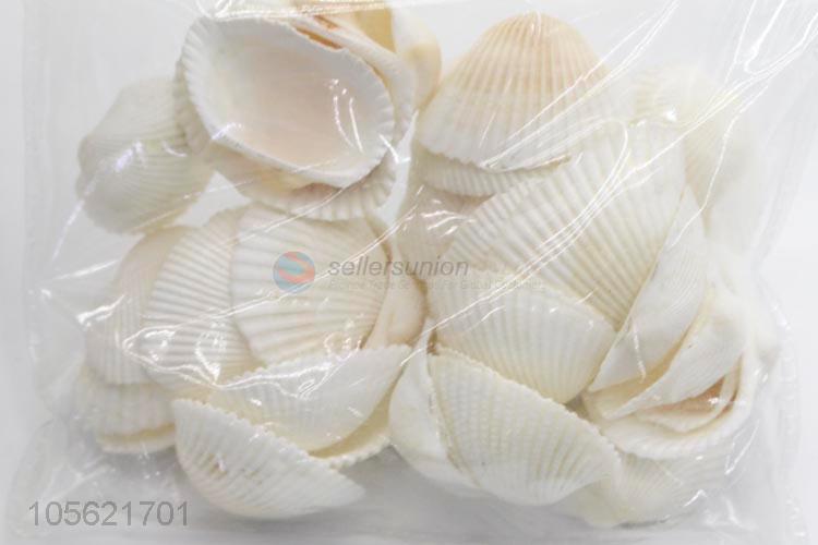 Fashion Design Sea Shells Shell Craft Aquarium Nautical Decor Ornaments