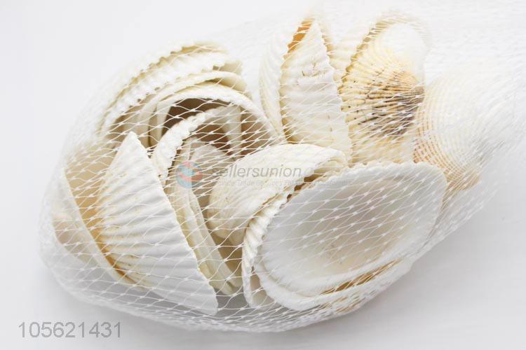 Reasonable Price Seashells Decorations Scallop Shells Crafts Decor Ornament