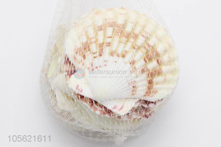 China Wholesale Party Decor Shell Crafts