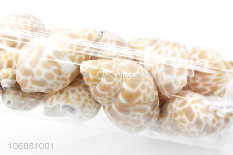 Wholesale natural sea cowrie shells for jewelry craft making accessories