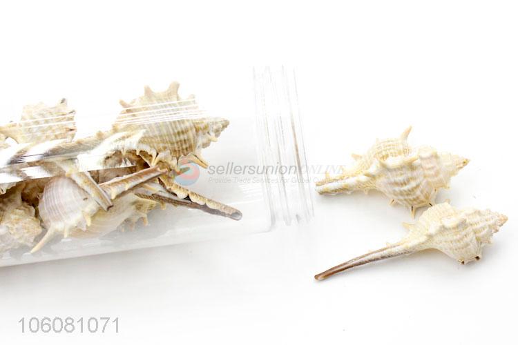 Factory price natural sea shell beautiful shell craft set