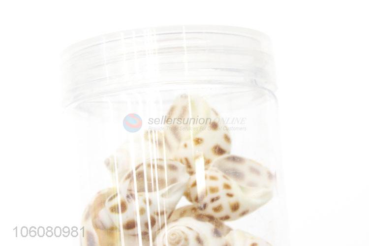 Hot selling natural sea shells for necklace pendant craft making