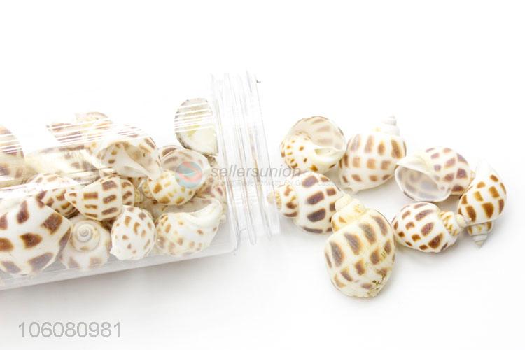 Hot selling natural sea shells for necklace pendant craft making