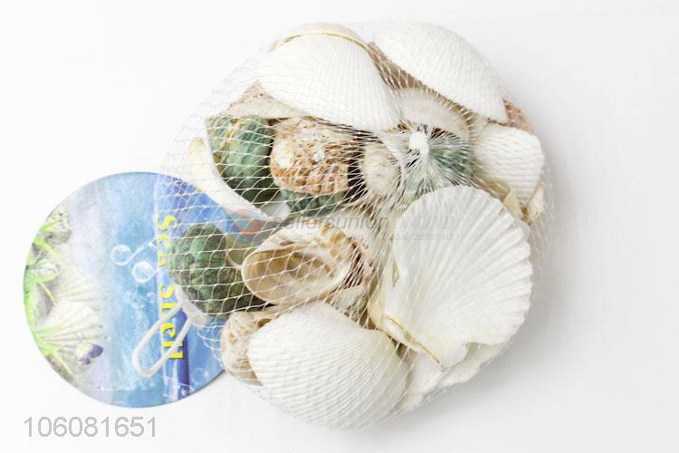 Superior quality sea shells shell craft decor ornaments