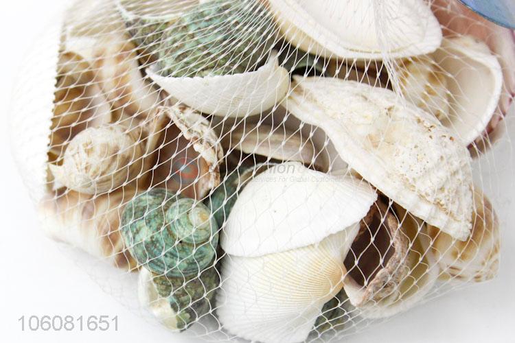 Superior quality sea shells shell craft decor ornaments